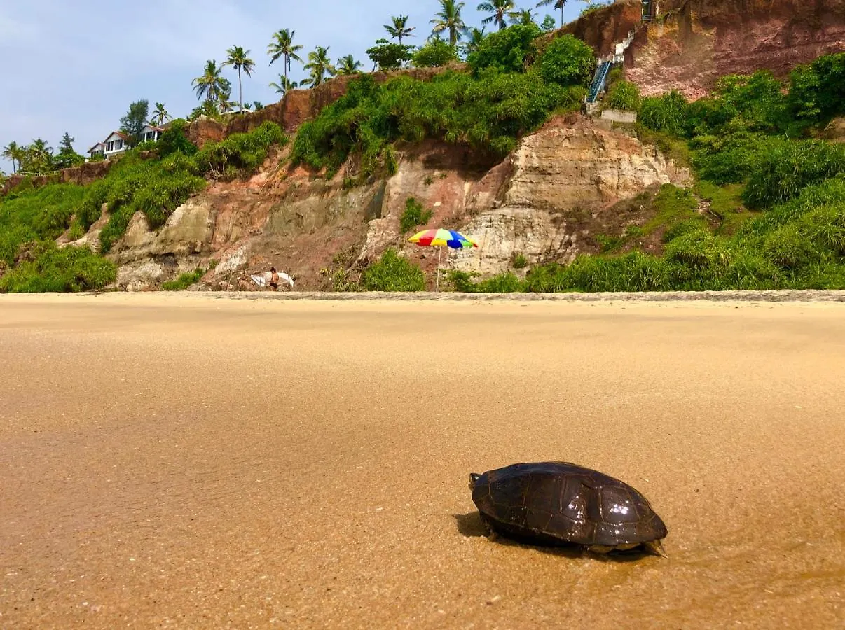 Nebo Hotel Varkala 0*,  India